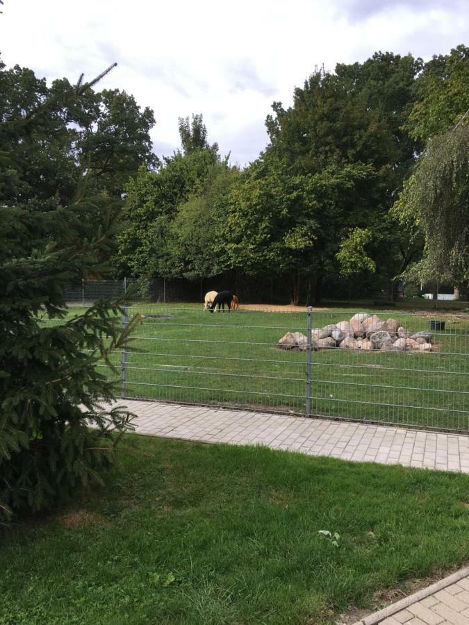 Ferienwohnung Im Park 1 Lenschow ภายนอก รูปภาพ